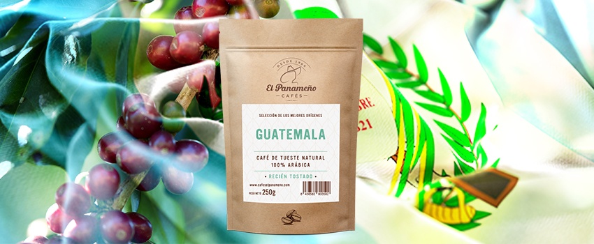 Cuáles son propiedades café natural de Guatemala?